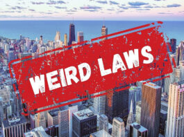 5-strange-and-weird-laws-from-around-the-world