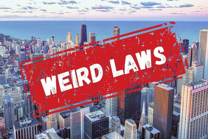 5-strange-and-weird-laws-from-around-the-world